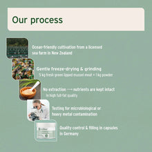 Load image into Gallery viewer, Green Lipped Mussel Powder for Dogs and Cats - Joint Support Supplement
