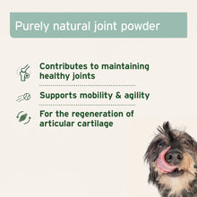 Load image into Gallery viewer, Green Lipped Mussel Powder for Dogs and Cats - Joint Support Supplement

