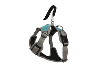 Load image into Gallery viewer, Henry Wag Dog Travel Harness
