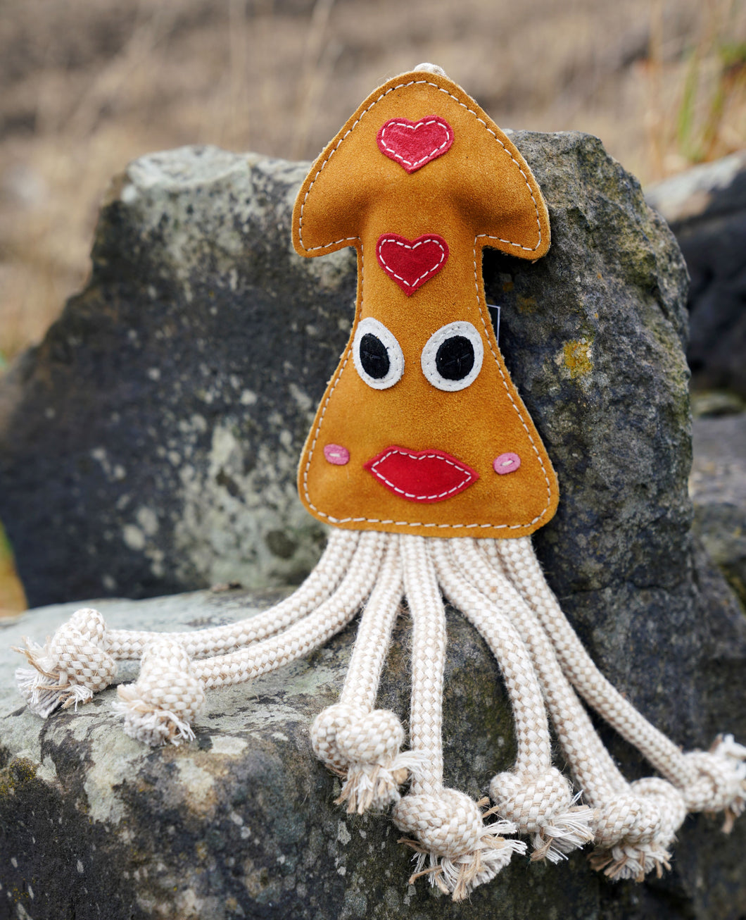 Karen the Squid Shaped Eco Dog Toy