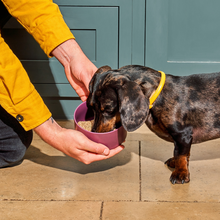 Load image into Gallery viewer, Raw Turkey Nuggets for Puppies 1kg
