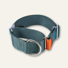 Load image into Gallery viewer, Martingale Collar

