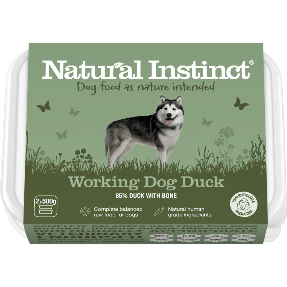 Working Dog Duck
