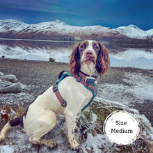 Load image into Gallery viewer, GO-B-BOLD | Dog Harness | Lantana

