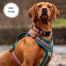 Load image into Gallery viewer, GO-B-BOLD | Dog Harness | Lantana
