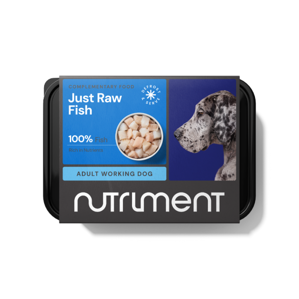 Just Raw Fish 500g