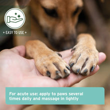 Load image into Gallery viewer, Paw Balm 60ml - Nourishing for Dogs &amp; Cats
