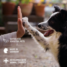 Load image into Gallery viewer, Paw Balm 60ml - Nourishing for Dogs &amp; Cats
