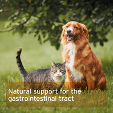 Load image into Gallery viewer, AniForte® Psyllium Husks for Dogs &amp; Cats 250g
