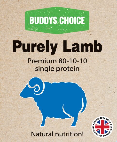 BUDDYS CHOICE PURELY LAMB
