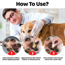 Load image into Gallery viewer, Dogslife Wound &amp; Skin Repair Powder For Dogs
