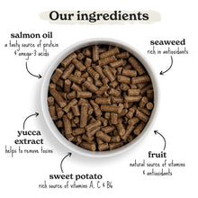 Load image into Gallery viewer, Forthglade Cold Pressed Salmon Dry Dog Food Grain Free
