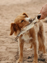 Load image into Gallery viewer, Whole Dried Haddock - 1pc
