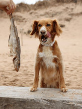 Load image into Gallery viewer, Whole Dried Haddock - 1pc
