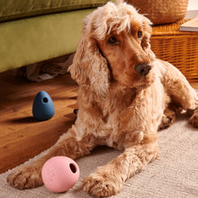 Load image into Gallery viewer, Beco Wobble Ball
