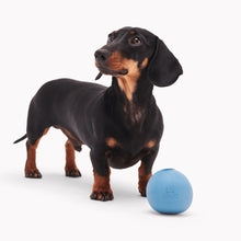 Load image into Gallery viewer, Beco Wobble Ball
