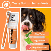 Load image into Gallery viewer, Dogslife Dental Care Kit Toothpaste &amp; Toothbrush
