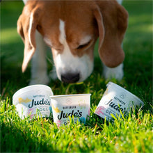 Load image into Gallery viewer, Jude&#39;s Ice Cream For Dogs
