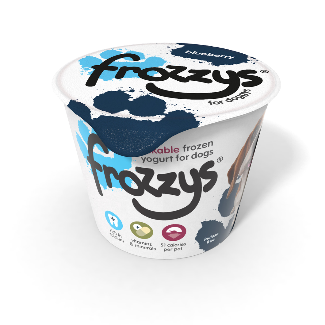 FROZZYS - Blueberry
