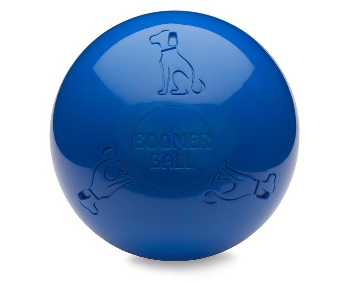 Company Of Animals - Boomer Ball