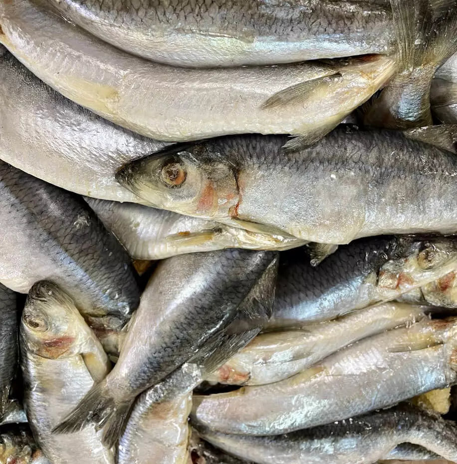 Dougie's Whole Herring 1kg