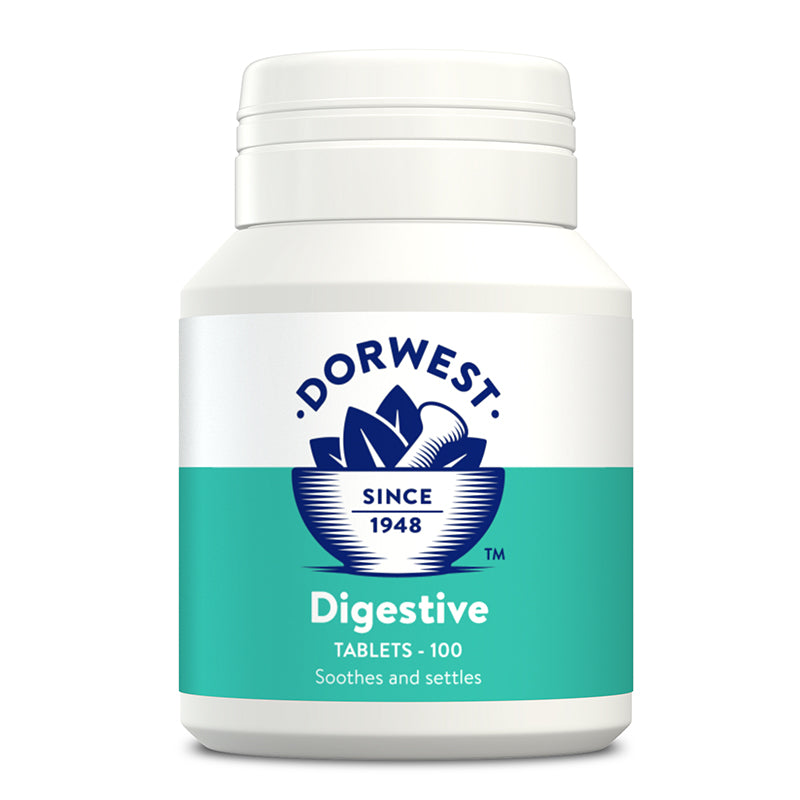Digestive Tablets For Dogs And Cats