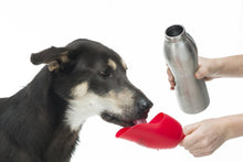Load image into Gallery viewer, KONG H20 25oz Stainless Steel Dog Water Bottle
