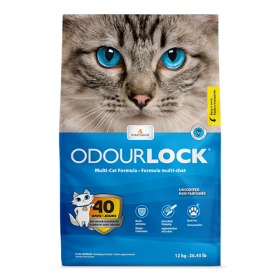 Intersand OdourLock (Clumping Cat Litter)