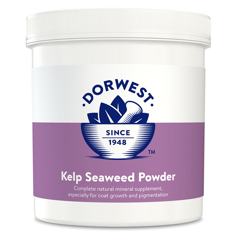 Kelp Seaweed Powder For Dogs And Cats