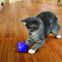 Load image into Gallery viewer, KONG Cat Treat Dispensing Ball
