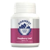 Raspberry Leaf Tablets For Dogs And Cats 100 Tablets
