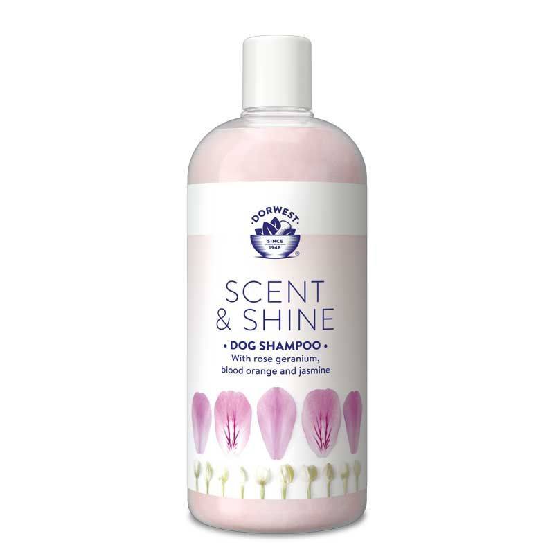 Scent & Shine Shampoo 250ML