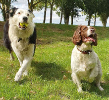 Load image into Gallery viewer, Double Strength Dog Tennis Ball
