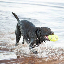 Load image into Gallery viewer, KONG Airdog® Squeaker Football
