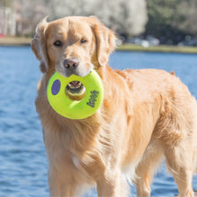 Load image into Gallery viewer, KONG Airdog® Squeaker Donut
