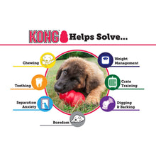 Load image into Gallery viewer, KONG® Puppy
